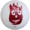 Мяч Mr. Wilson (Cast Away)