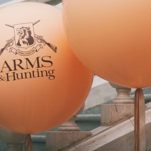 ARMS & HUNTING 2019