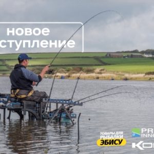 Новые поступления