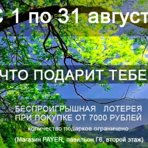 Что подарит PAYER?