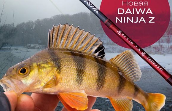 Новые поступления DAIWA