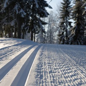 Лыжня недалеко от «Экстрима»